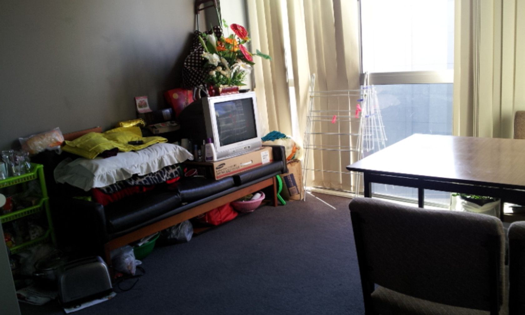 AUCKLAND CENTRAL, Auckland City