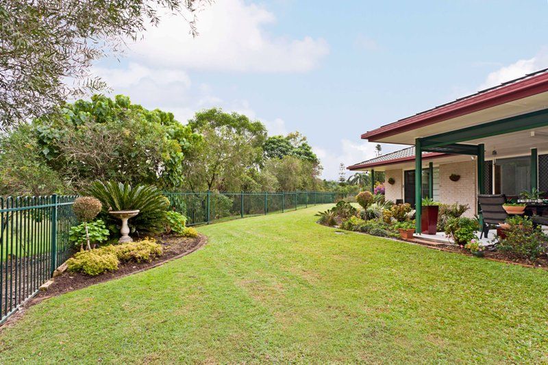 31 Kathleen Drive, BLI BLI, QLD 4560