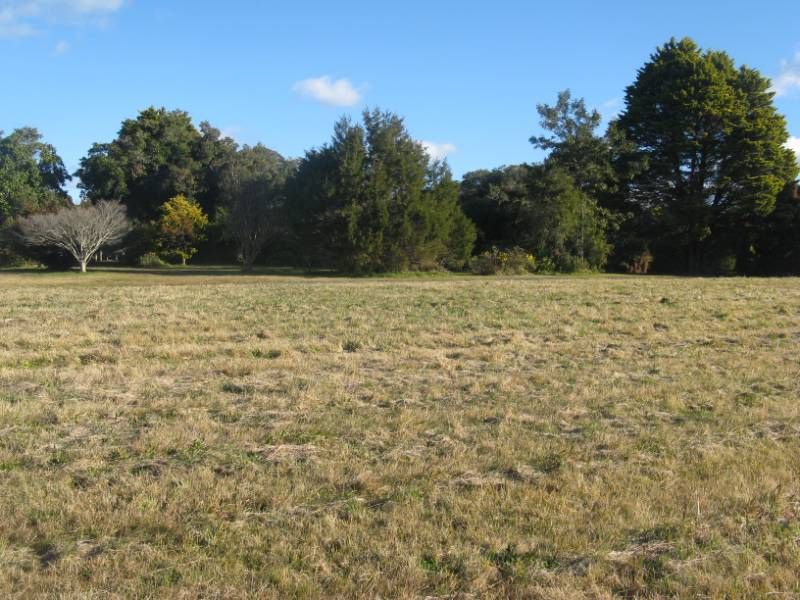53 Telopea Road, HILL TOP, NSW 2575