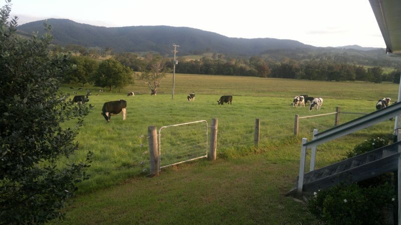 1110 Barrington West Road, BARRINGTON, NSW 2422