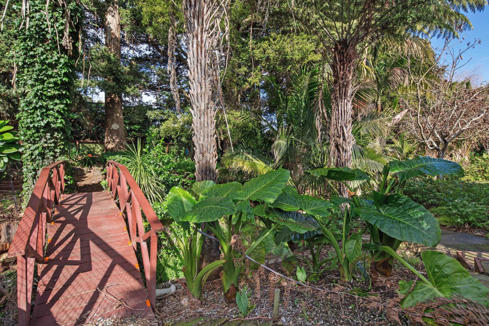 17 Kelvyn Grove, Hillpark, Auckland