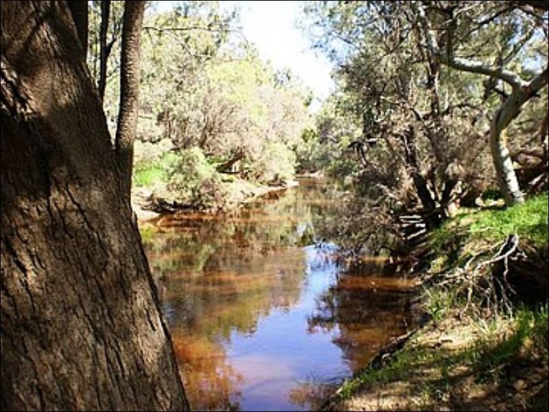 Lot 238 Ryland Loop, DEEPDALE, WA 6532