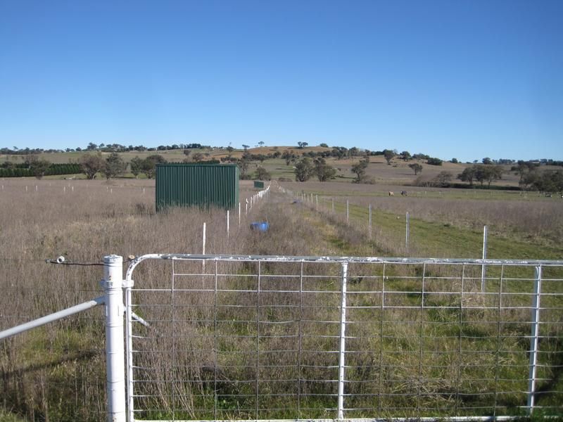 927 Henry Lawson Way, YOUNG, NSW 2594