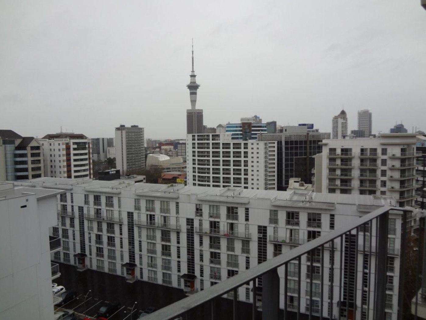 AUCKLAND CENTRAL, Auckland City