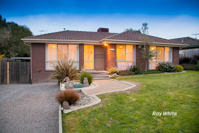 38 Jackson Drive, LANGWARRIN VIC 3910