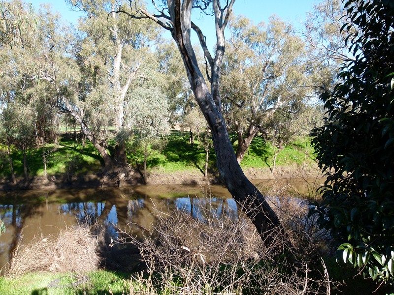289 Bathurst Street, FORBES, NSW 2871