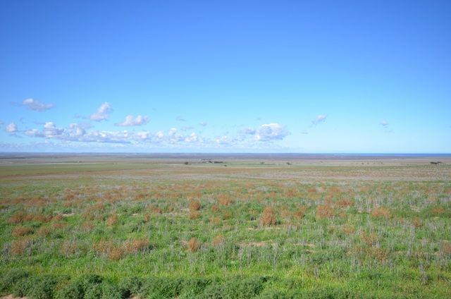 Daniels Road, SOUTH HUMMOCKS, SA 5550