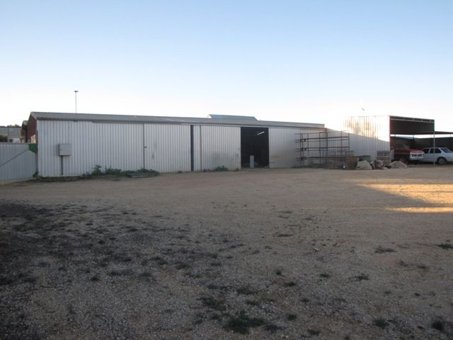 55 Robertson Avenue, LOXTON, SA 5333