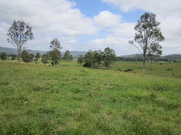 Lot 1, 433 Gresford Road, PATERSON, NSW 2421