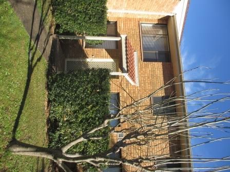 3/465 The Boulevard, KIRRAWEE, NSW 2232