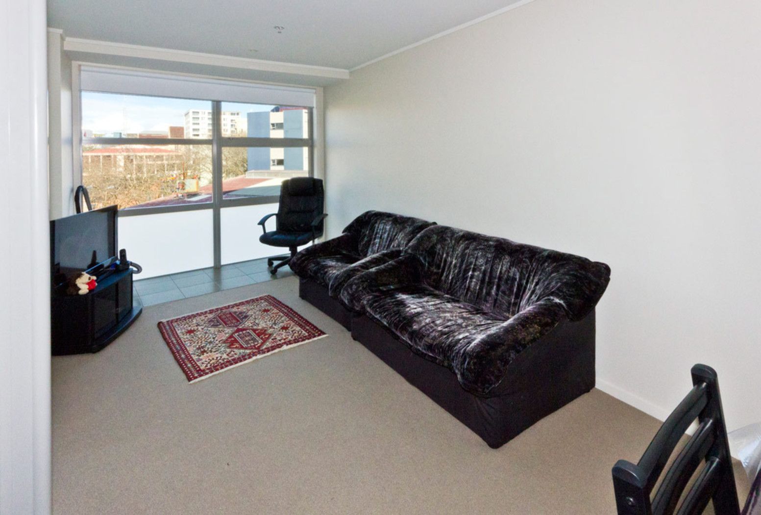 AUCKLAND CENTRAL, Auckland City