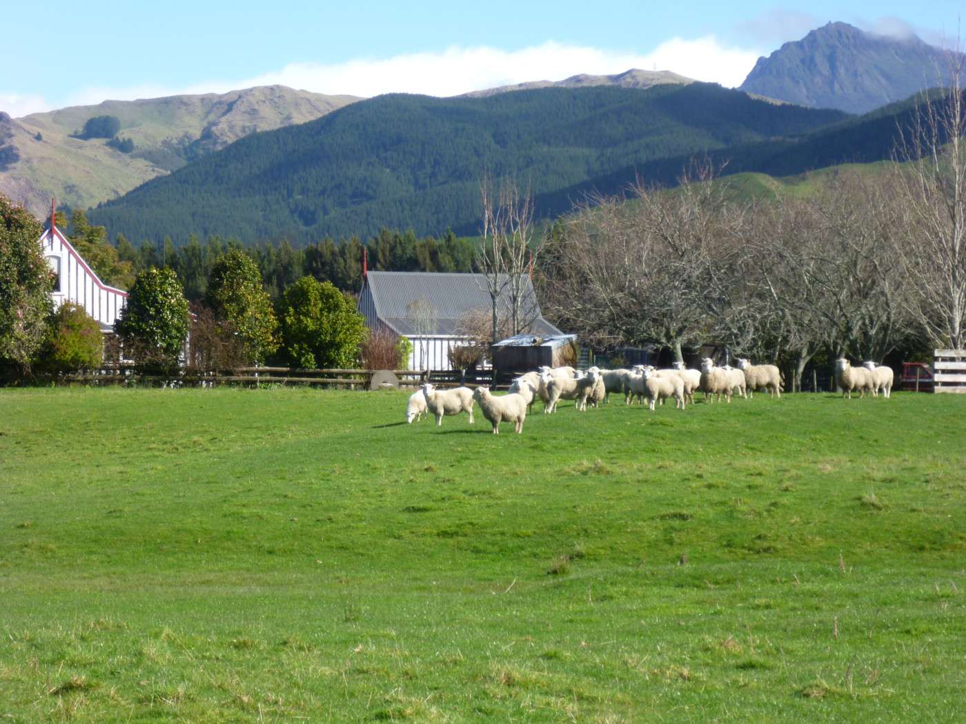 240 Makarika Road, Ruatoria, Gisborne District Real Estate Ray