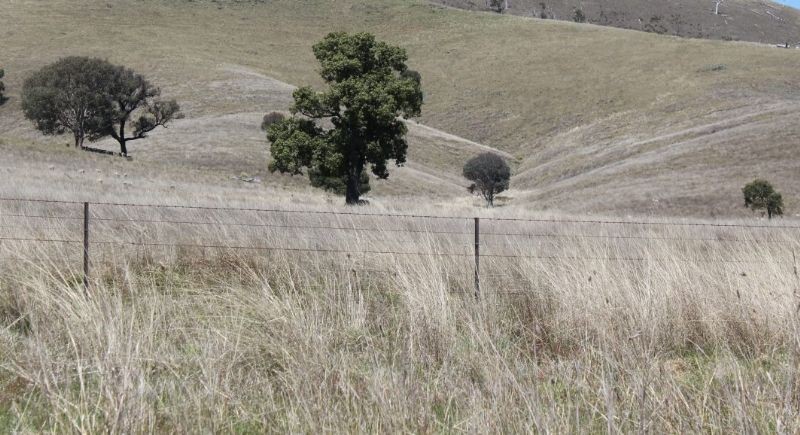 TAYLORS FLAT, NSW 2586