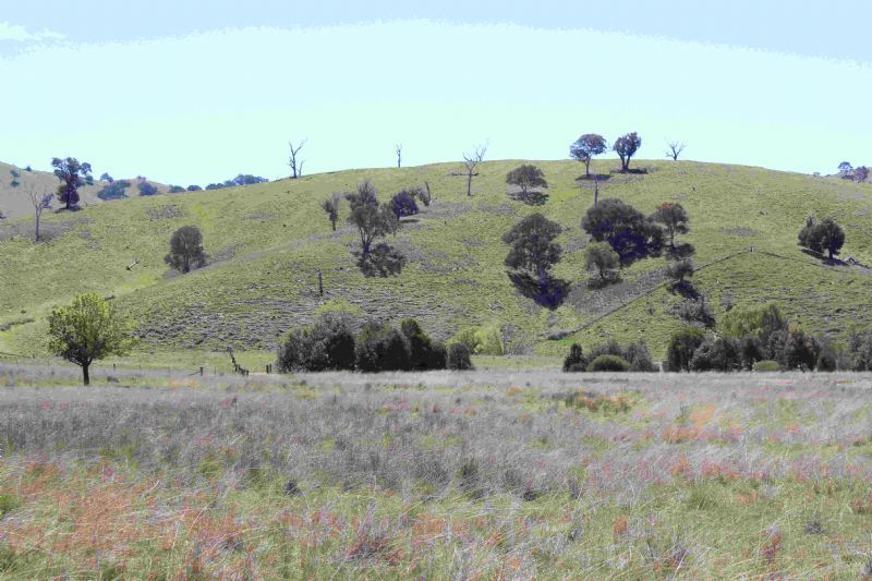 TAYLORS FLAT, NSW 2586