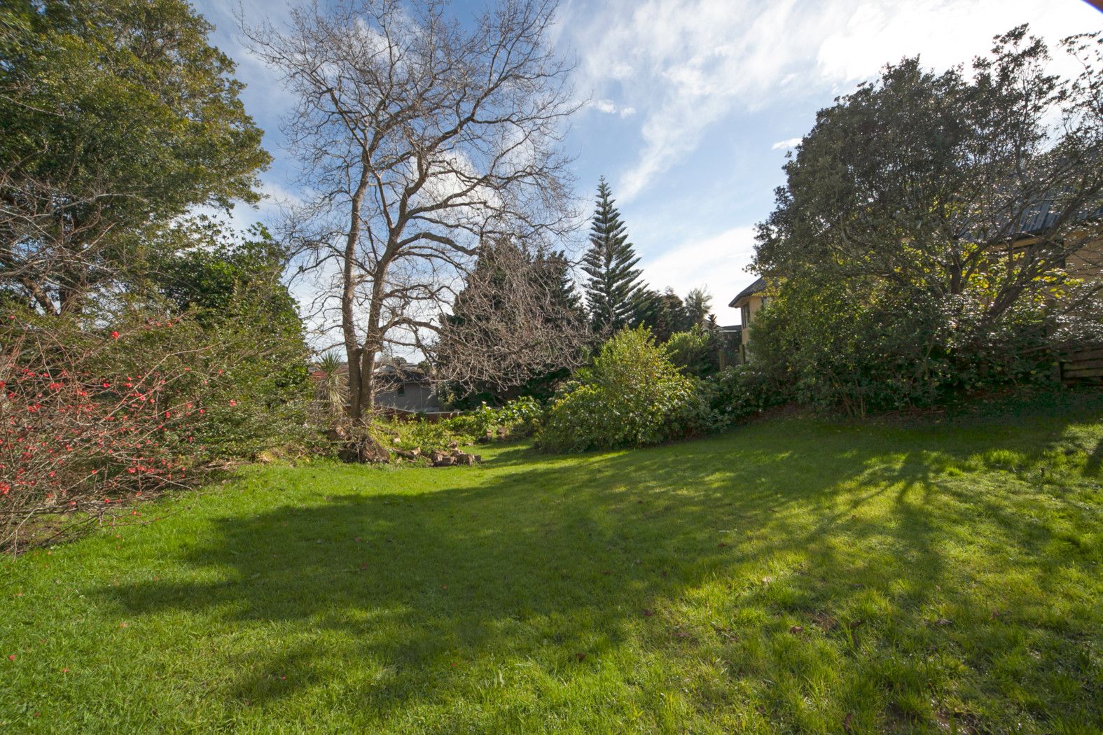255 Hillsborough Road, HILLSBOROUGH, Auckland City
