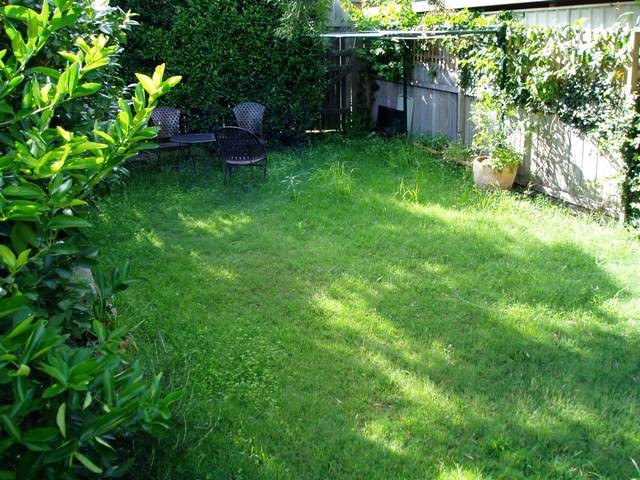 79 Fern Street, CLOVELLY, NSW 2031