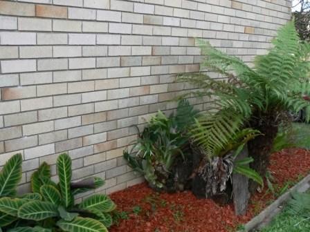TAREE, NSW 2430