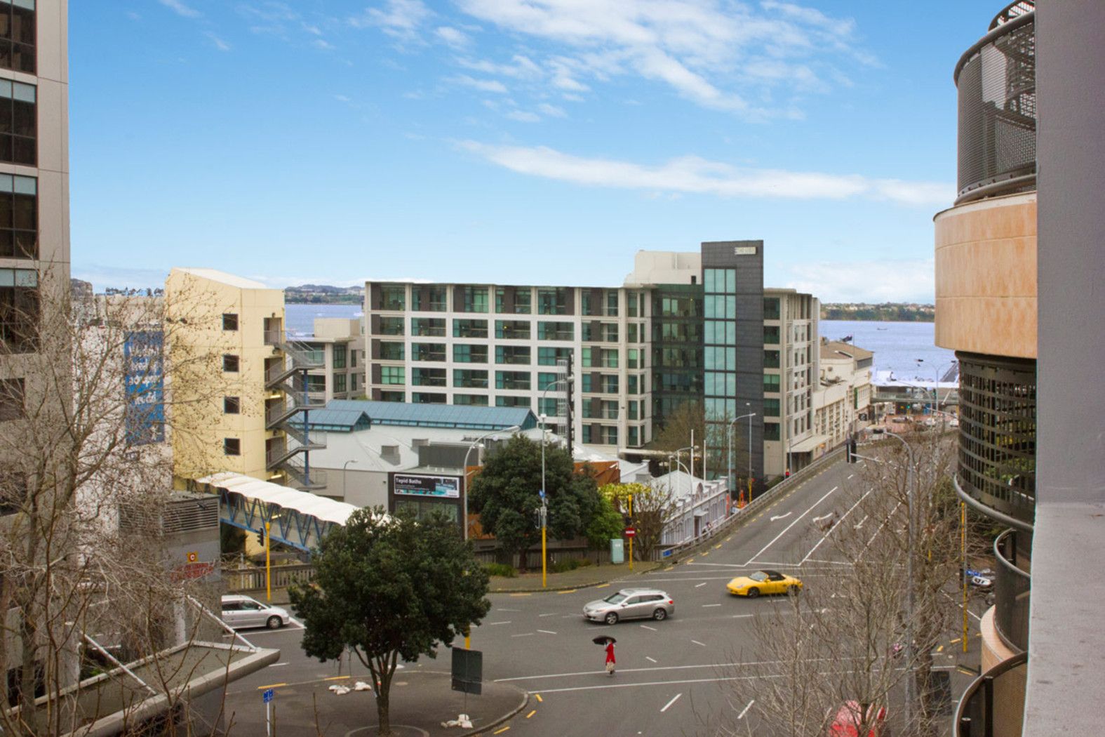 AUCKLAND CENTRAL, Auckland City