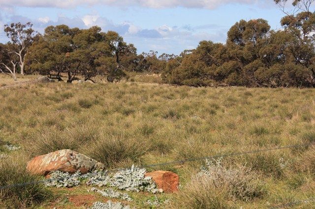 Lot 1 Via Law Road, ROCKLEIGH, SA 5254