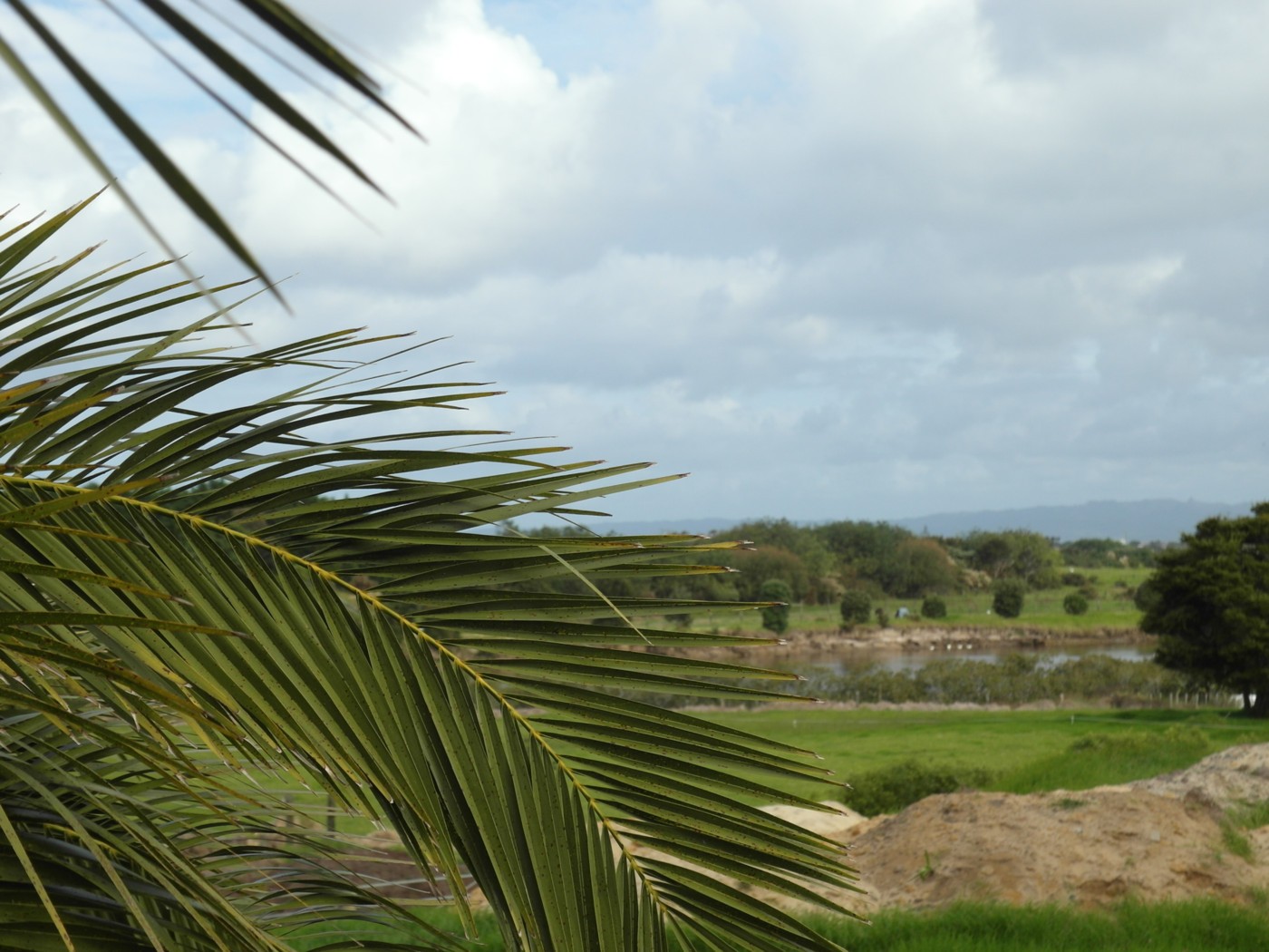 RUAKAKA, Whangarei District