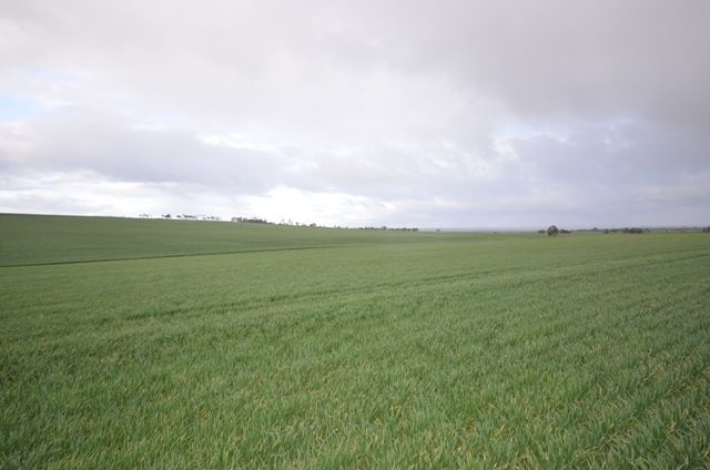 Various Lots, WHITWARTA, SA 5461