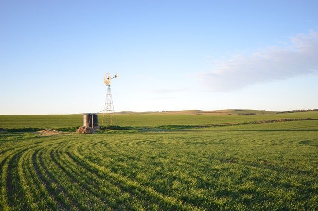 Various Lots, HANSON, SA 5417