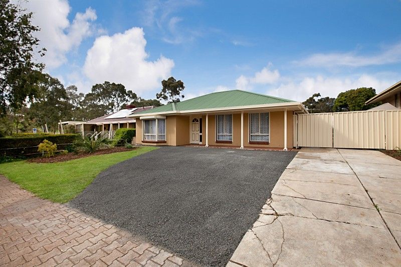 19 Fairleigh Avenue, MODBURY NORTH SA 5092