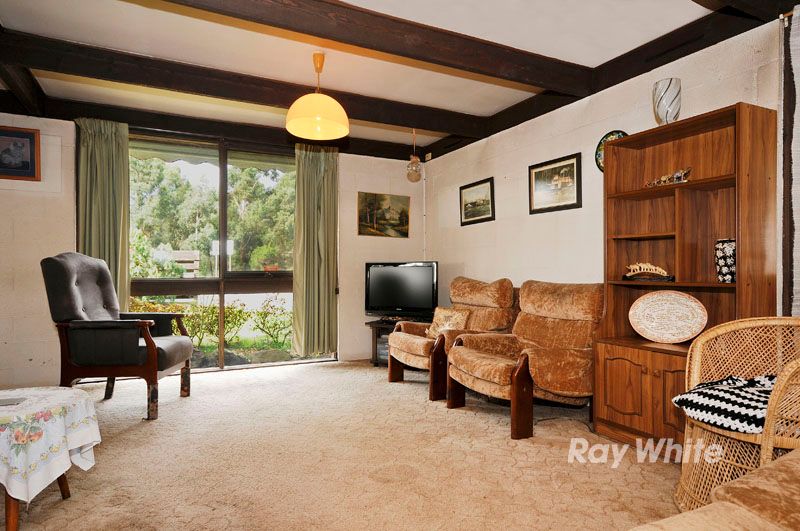 256 Wantirna Road, WANTIRNA, VIC 3152