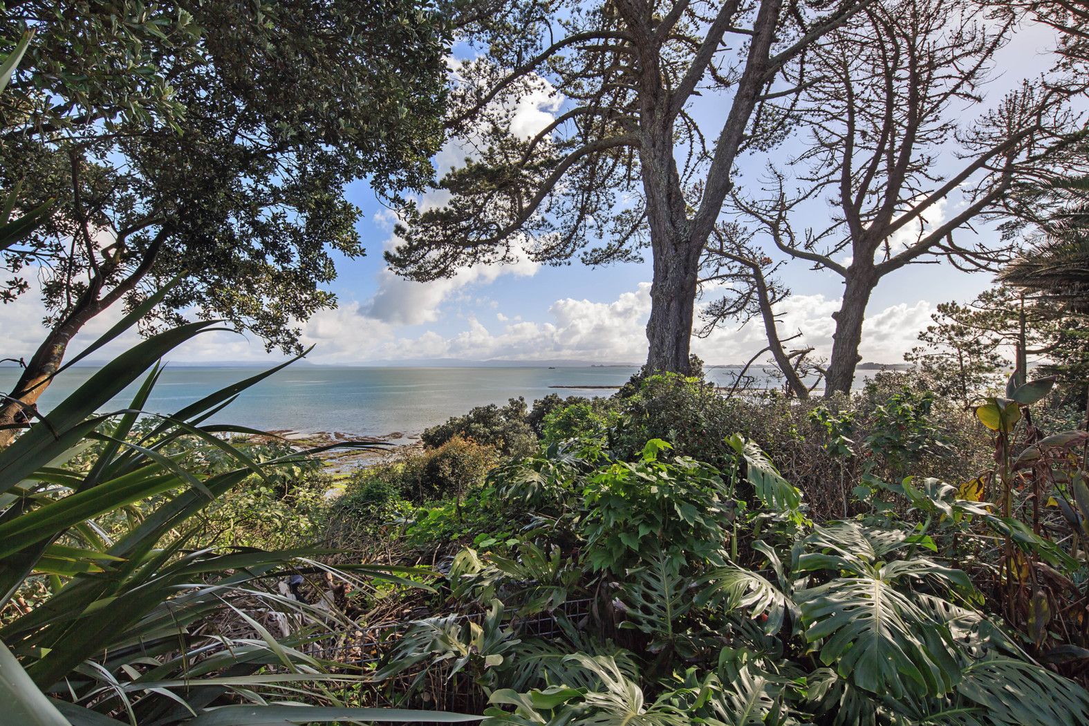 8 Domain Road, Weymouth, Manukau City