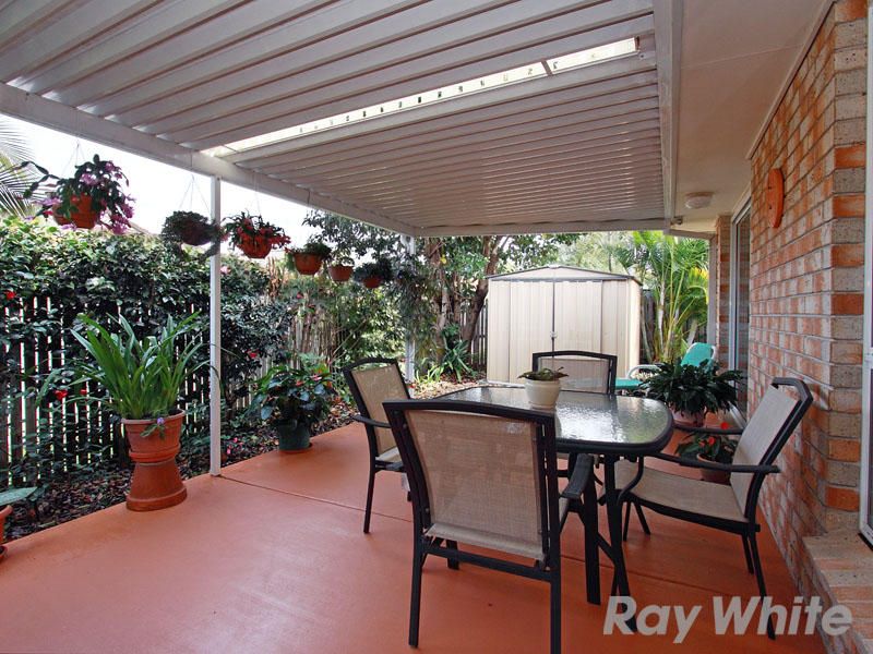  16 Stay Place, CARSELDINE QLD 4034