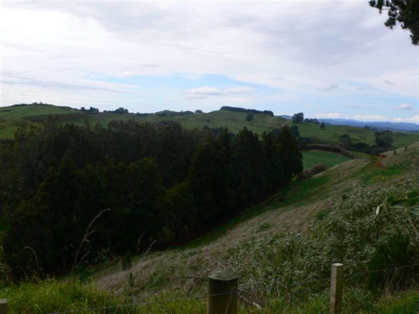 ONEWHERO, Franklin