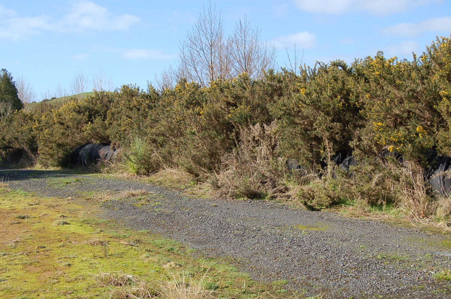 . State Highway 22, Naike, Waikato District