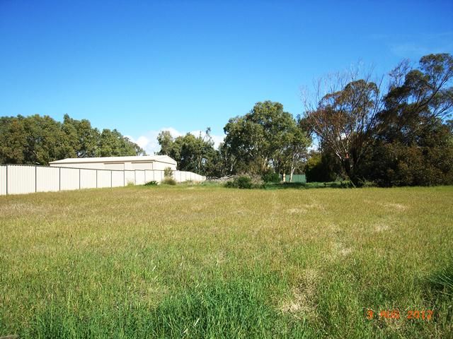 10 Bayliss Road, DONGARA, WA 6525