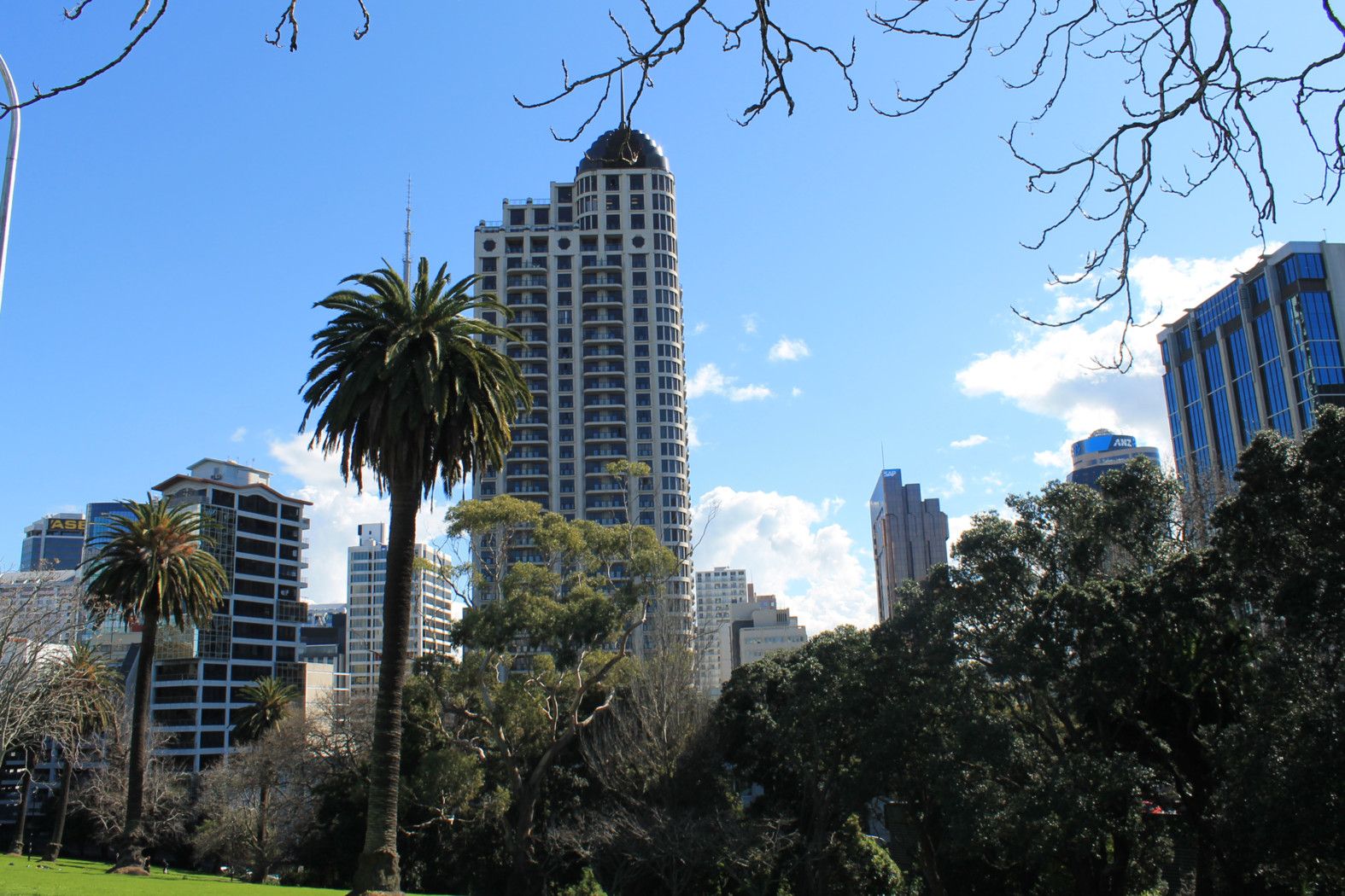 AUCKLAND CENTRAL, Auckland City