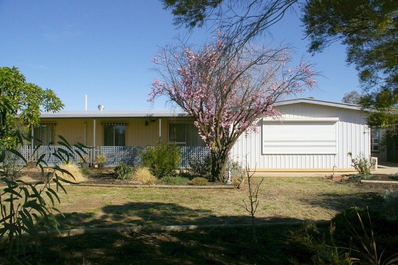 464 Kulkyne Street, RENMARK, SA 5341