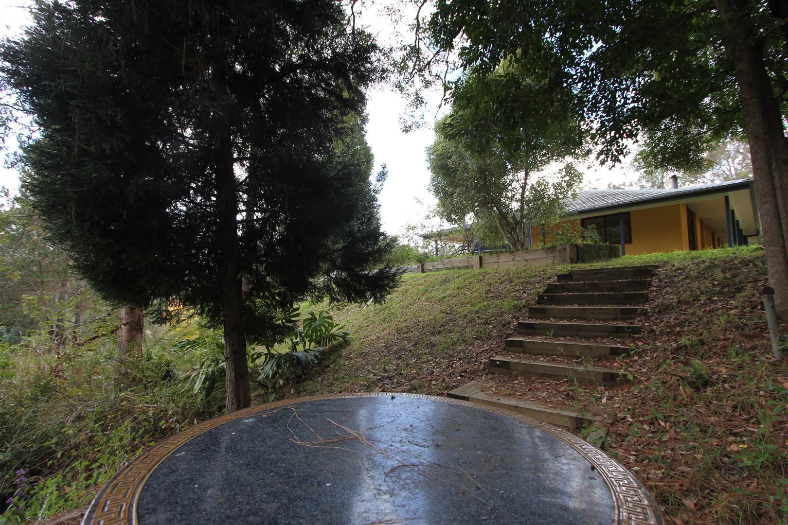 1290 Yarramalong Road, WYONG CREEK, NSW 2259