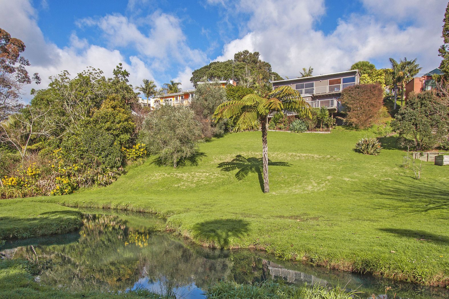 60 Robley Crescent, GLENDOWIE, Auckland City