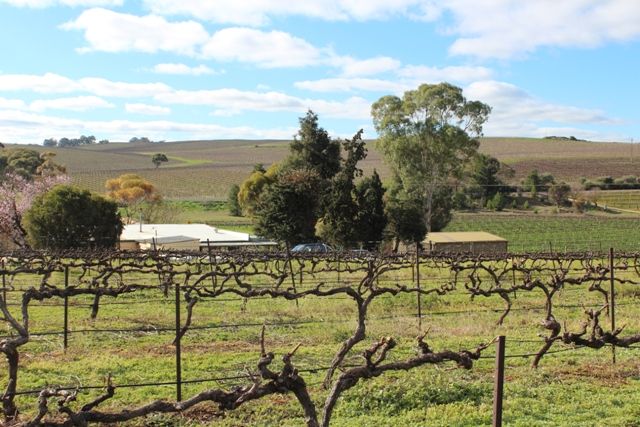 Blocks Road, LEASINGHAM, SA 5452