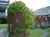 4 Maydell Street photo 6