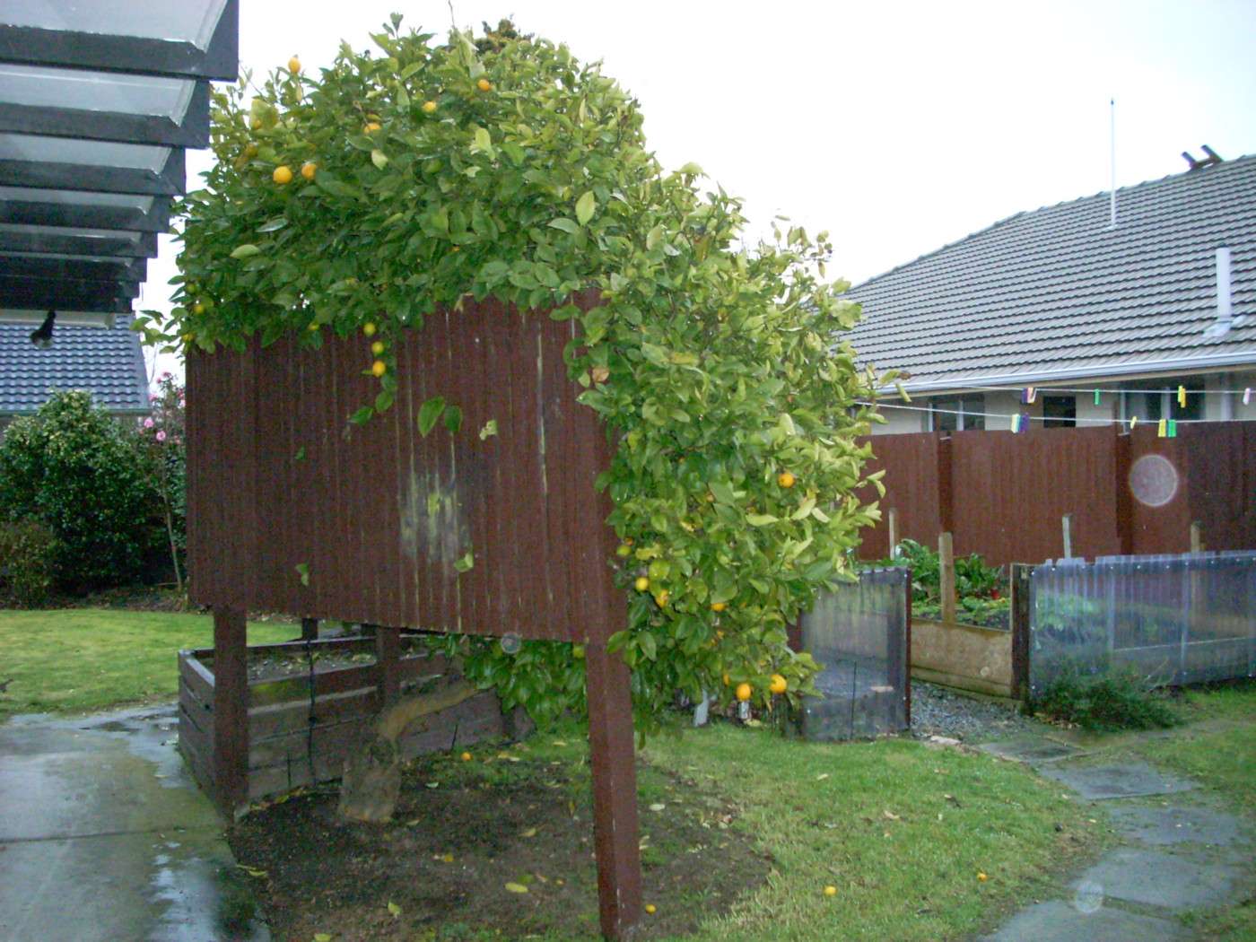 4 Maydell Street photo 6