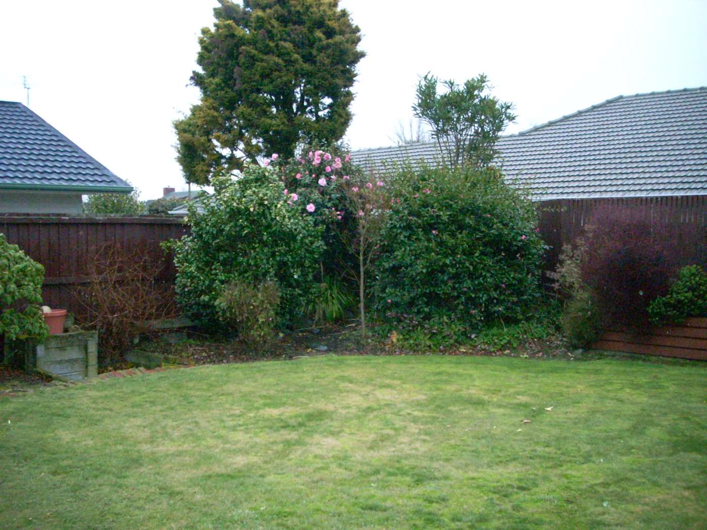 4 Maydell Street photo 7
