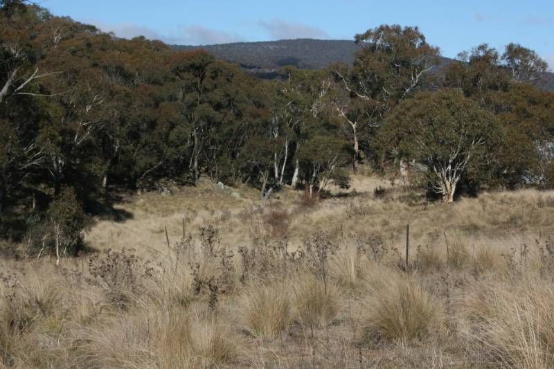 Lot 1 'Eagle View" Collemondah Road, SHANNONS FLAT, NSW 2630