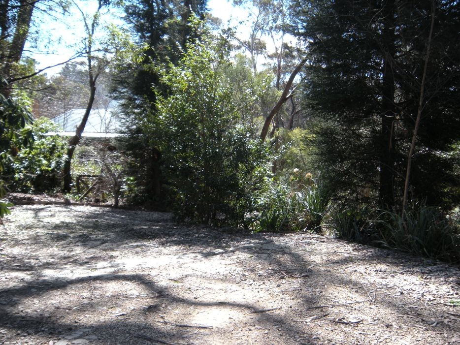 44 Clarence Road, BLACKHEATH, NSW 2785
