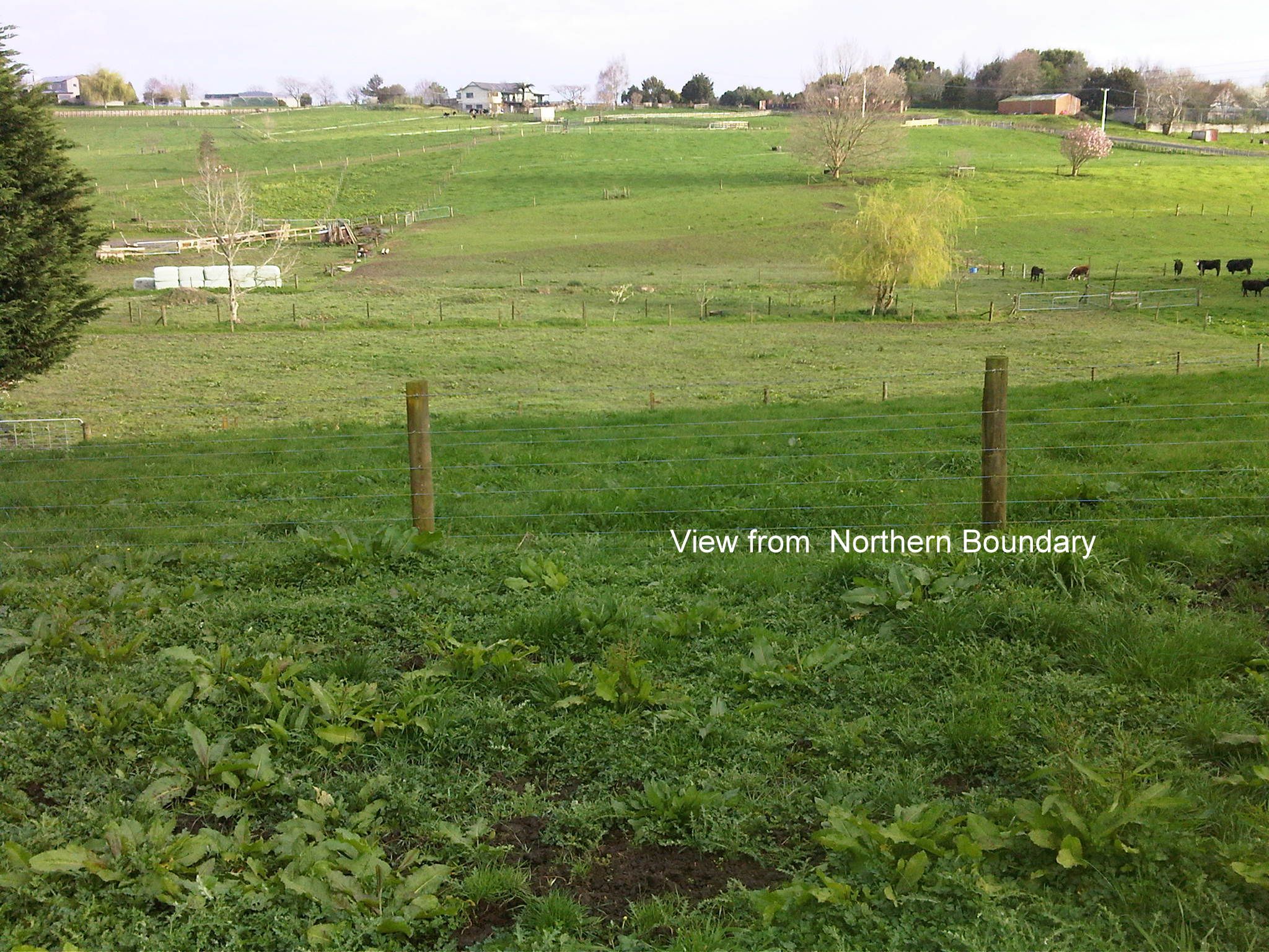 0 Te Rahu Road, TE AWAMUTU, Waipa District