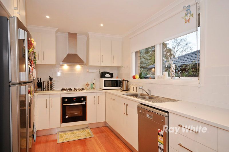 19 Hartington Drive, WANTIRNA, VIC 3152