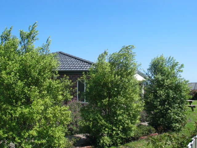 4 Katya Court, WARRNAMBOOL, VIC 3280