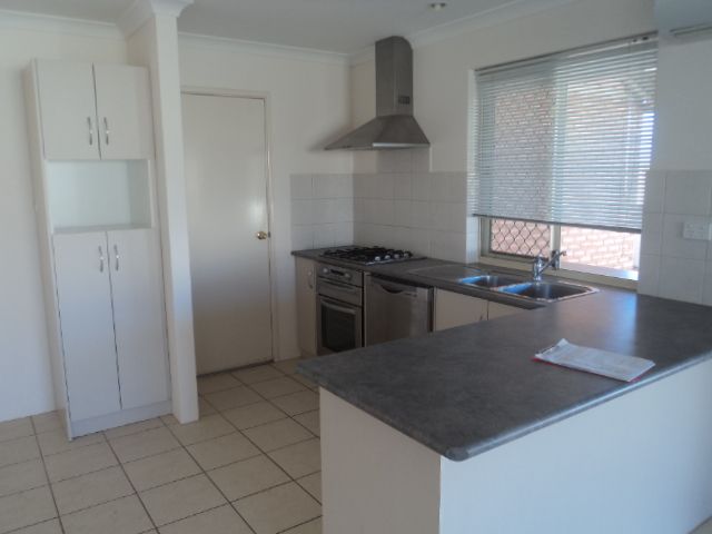17 Flavio Crescent, WANDINA, WA 6530