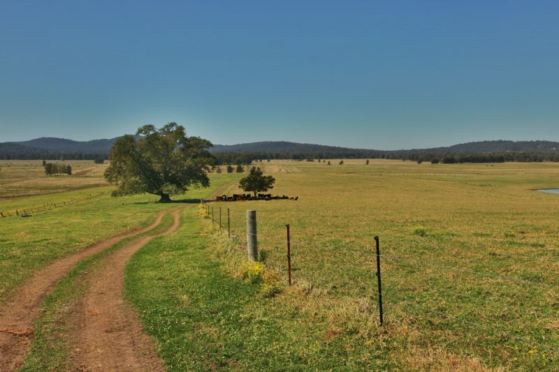 600 Seaham Road, NELSONS PLAINS, NSW 2324