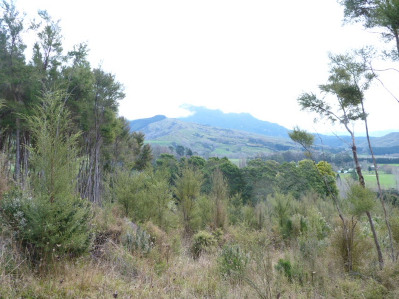 000 Makarika Road, RUATORIA, Gisborne District