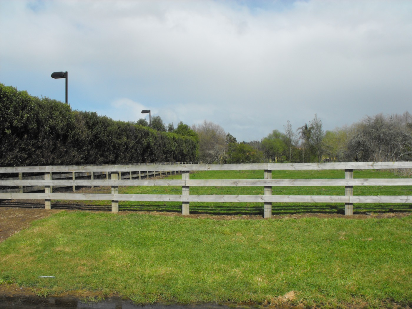 13 Hodge Drive, TAMAHERE, Waikato District